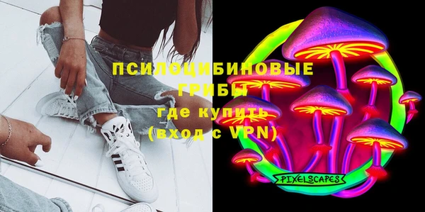 стафф Бронницы