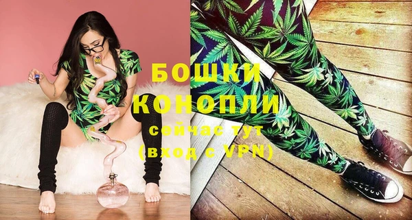 стафф Бронницы